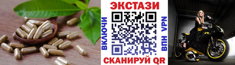 дарнет шоп  Красный Кут  KRAKEN как зайти  ЭКСТАЗИ Дубай 