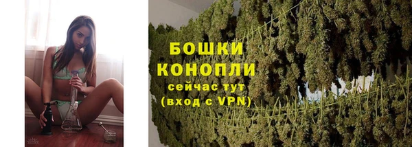 PSILOCYBIN Пересвет