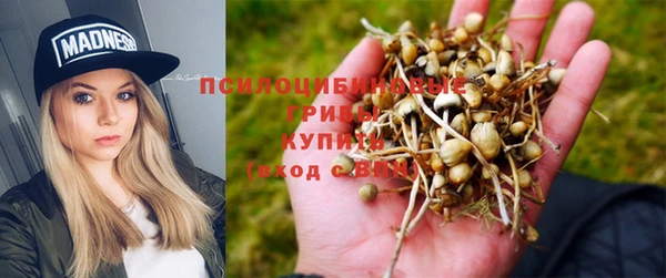 винт Покачи